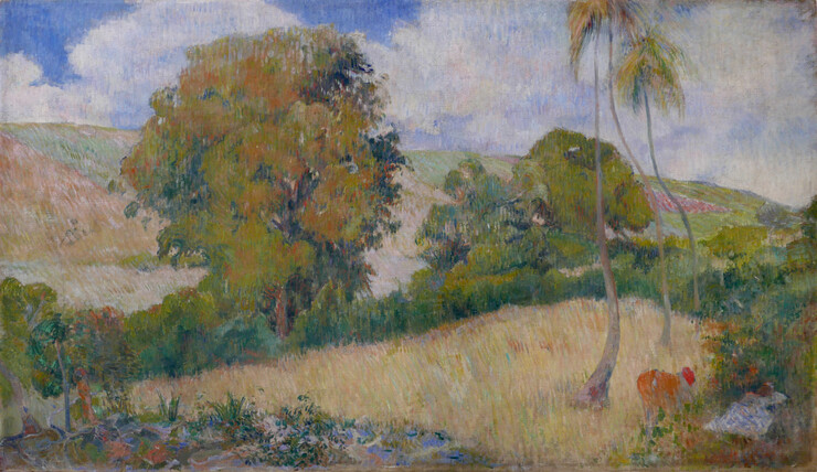 Paul Gauguin: Wiese auf Martinique, 1887 67 x 114,5 cm © Arche Noah Museum – Sammlung Kunst & Kultur, Hohenems/Foto: Clemens Rhomberg